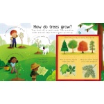 First Questions and Answers: Why Do We Need Trees? - Image 2