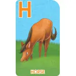 Go Fish Alphabet Game Cards - Image 6