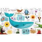 Lift-the-Flap General Knowledge - Image 4