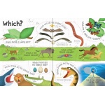 Lift-the-Flap Questions and Answers About Animals - Image 4