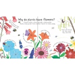 Lift-the-flap First Questions and Answers: How Do Flowers Grow? - Image 2