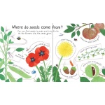 Lift-the-flap First Questions and Answers: How Do Flowers Grow? - Image 3