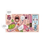 Little Explorers: My Amazing Body - Image 3