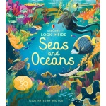Look Inside Seas and Oceans-by-Usborne