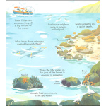 Look Inside Seas and Oceans - Image 3