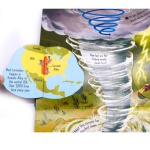 Look Inside Wild Weather (Look Inside Books) - Image 5