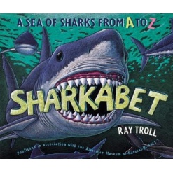 Sharkabet-by-Ingram
