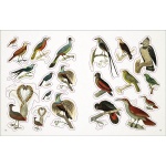 The Bees, Birds & Butterflies Sticker Anthology - Image 4