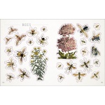 The Bees, Birds & Butterflies Sticker Anthology - Image 6