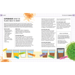 The Biology of Bananas (Curious World of Kitchen Science) - Image 2