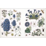 The Botanist's Sticker Anthology - Image 4