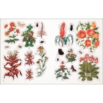 The Botanist's Sticker Anthology - Image 7