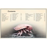 The Magnificent Book of Creatures of the Abyss - Image 2