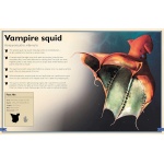 The Magnificent Book of Creatures of the Abyss - Image 4