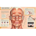 The Ultimate Human Body Encyclopedia - Image 5