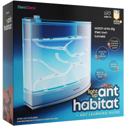 Light Up Ant Habitat-by-Dan & Darci