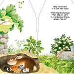 Little Bunny Board Book - Image 2