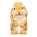Little Bunny Board Book-by-Sourcebooks