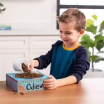 Make Your Own Pet Dish - Image 5