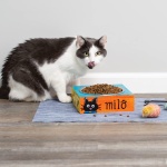 Make Your Own Pet Dish - Image 6