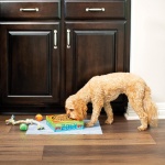 Make Your Own Pet Dish - Image 7