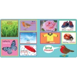 My First 101 Words Bilingual Board Book - Image 2