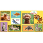 My First 101 Words Bilingual Board Book - Image 7