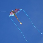 3D Blue Dragon Kite - Image 4