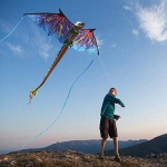 3D Blue Dragon Kite - Image 5