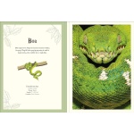 An Anthology of Intriguing Animals Poster Book: With More Than 30 Reversible Tear-Out Posters - Image 2
