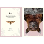 An Anthology of Intriguing Animals Poster Book: With More Than 30 Reversible Tear-Out Posters - Image 3