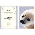 An Anthology of Intriguing Animals Poster Book: With More Than 30 Reversible Tear-Out Posters - Image 4