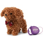 Animago Curly Cockapoo - Image 2