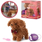 Animago Curly Cockapoo - Image 3