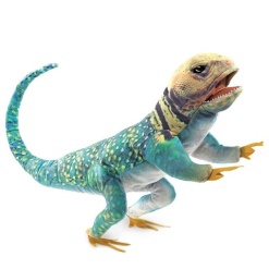 Collared Lizard Hand Puppet-by-Folkmanis