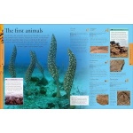 Dinosaurs: A Visual Encyclopedia - Image 2
