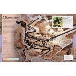 Dinosaurs: A Visual Encyclopedia - Image 4