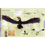 Dinosaurs: A Visual Encyclopedia - Image 9
