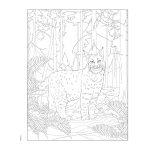 Forest & Woodland Wildlife Coloring Book - Image 3