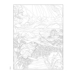 Forest & Woodland Wildlife Coloring Book - Image 4