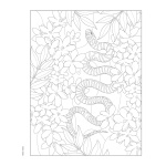 Forest & Woodland Wildlife Coloring Book - Image 5