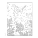Forest & Woodland Wildlife Coloring Book - Image 7