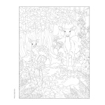 Forest & Woodland Wildlife Coloring Book - Image 8
