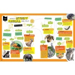National Geographic Kids Personality Quizzes - Image 4