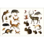 The Forests, Fairies and Fungi Sticker Anthology - Image 3