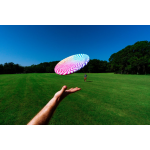 Big Wing - Image 5