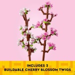 Cherry Blossoms - Image 3