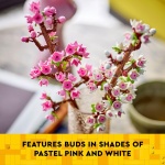 Cherry Blossoms - Image 4