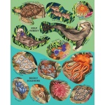 Creatures of the Ocean Sticker Poster - Image 5