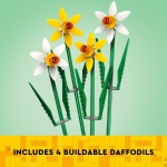 Daffodils - Image 3